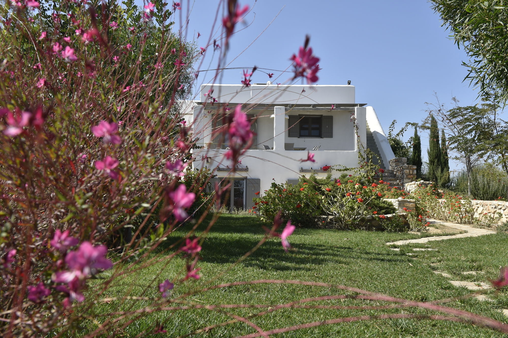 باروس Naoussa Hills Boutique Resort- Adults Only المظهر الخارجي الصورة